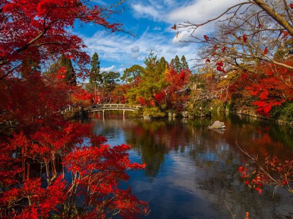 KYOTO