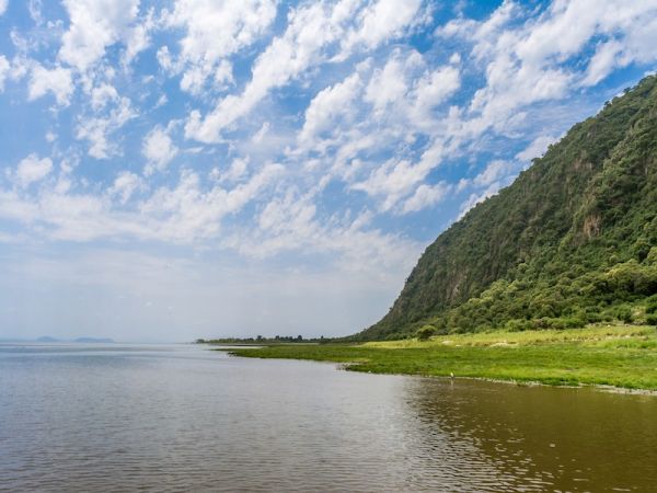 LAGO MANYARA O TARANGIRE