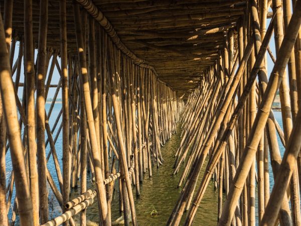 VIDA RURAL, PAGODAS Y TEMPLOS