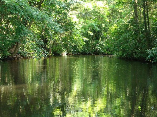 TORTUGUERO