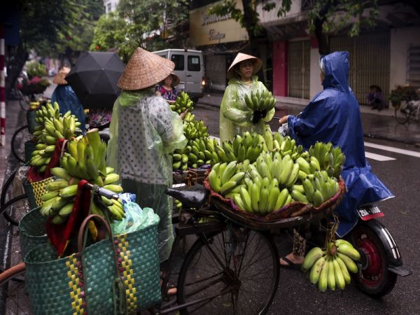 HANOI - NINH BINH: HOA LU, TAM COC, BICH DONG - HANOI