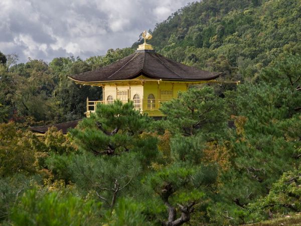 KYOTO - HAKONE