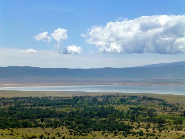 CRÁTER DE NGORONGORO