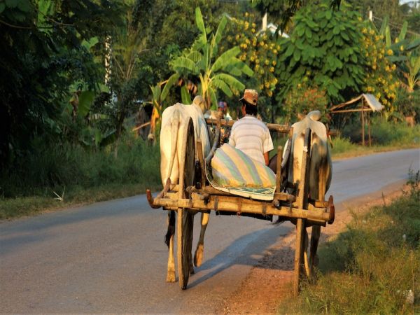 DE BATTAMBANG A PHNOM PENH