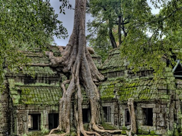 BENG MAELEA - KOMPONG KHLEANG