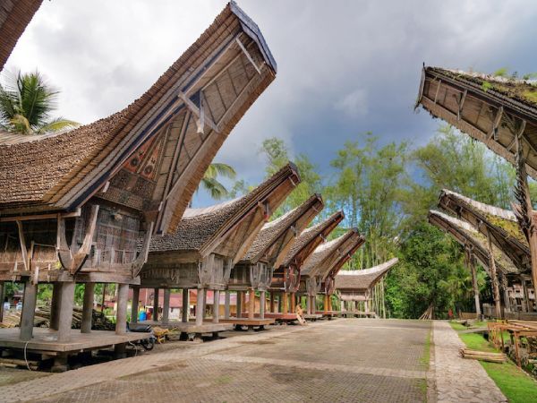 TORAJA TOUR