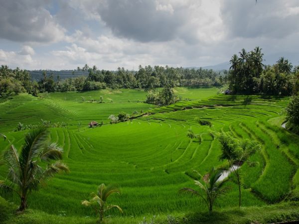 TOKIO - BALI