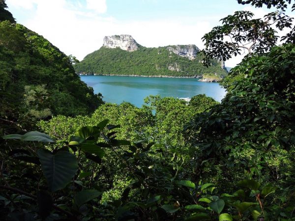 KOH SAMUI - BANGKOK - ESPAÑA