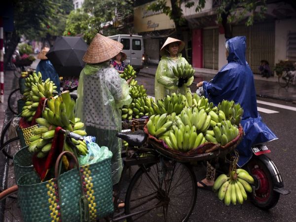 HANOI - NINH BINH