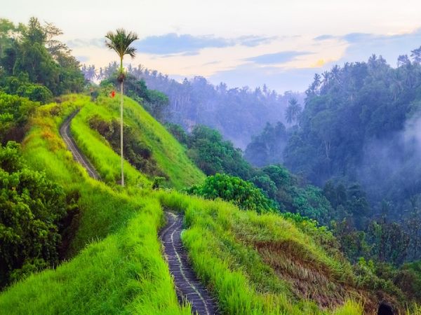 UBUD