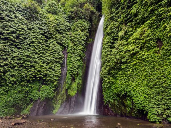 BUKIT - BALI BARAT