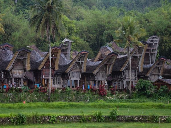 TANA TORAJA