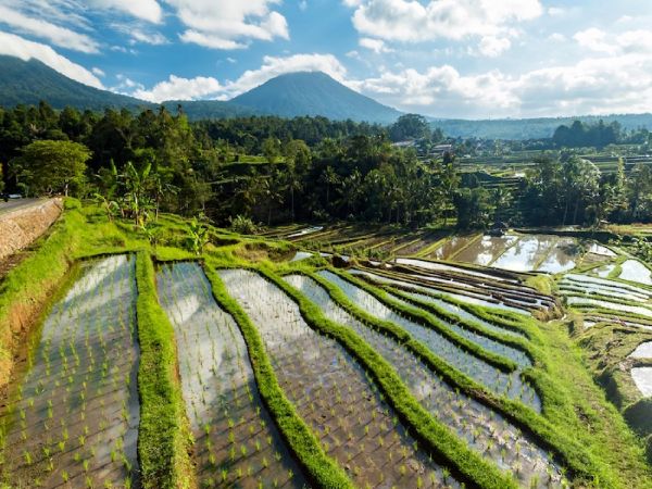 SEBATU - UBUD