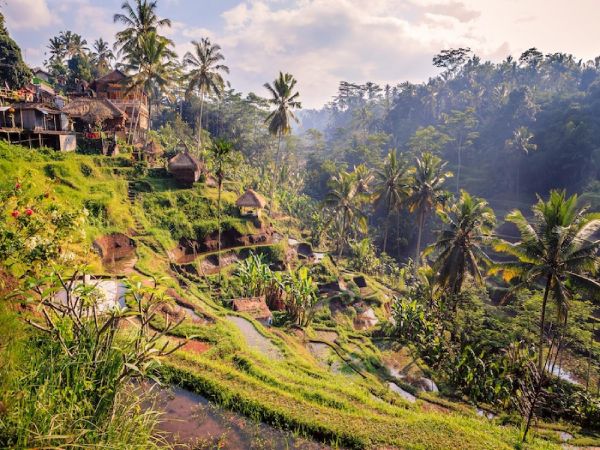 BALI BARAT - UBUD