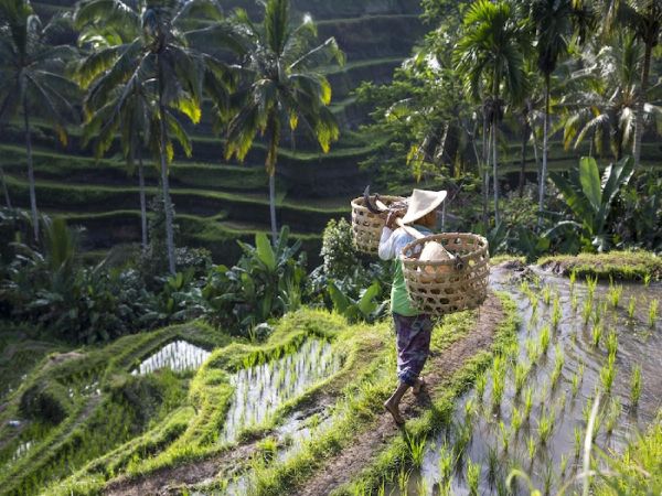 UBUD