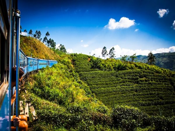 KANDY - NUWARA ELIYA