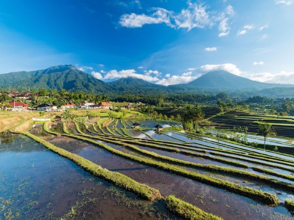 BALI BARAT - UBUD