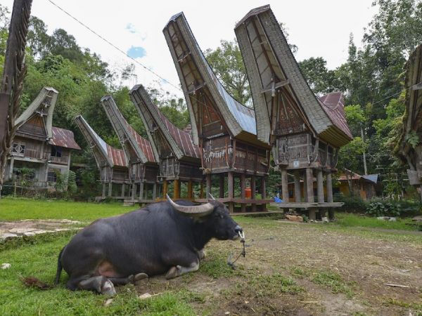 MAKASAR - TORAJA