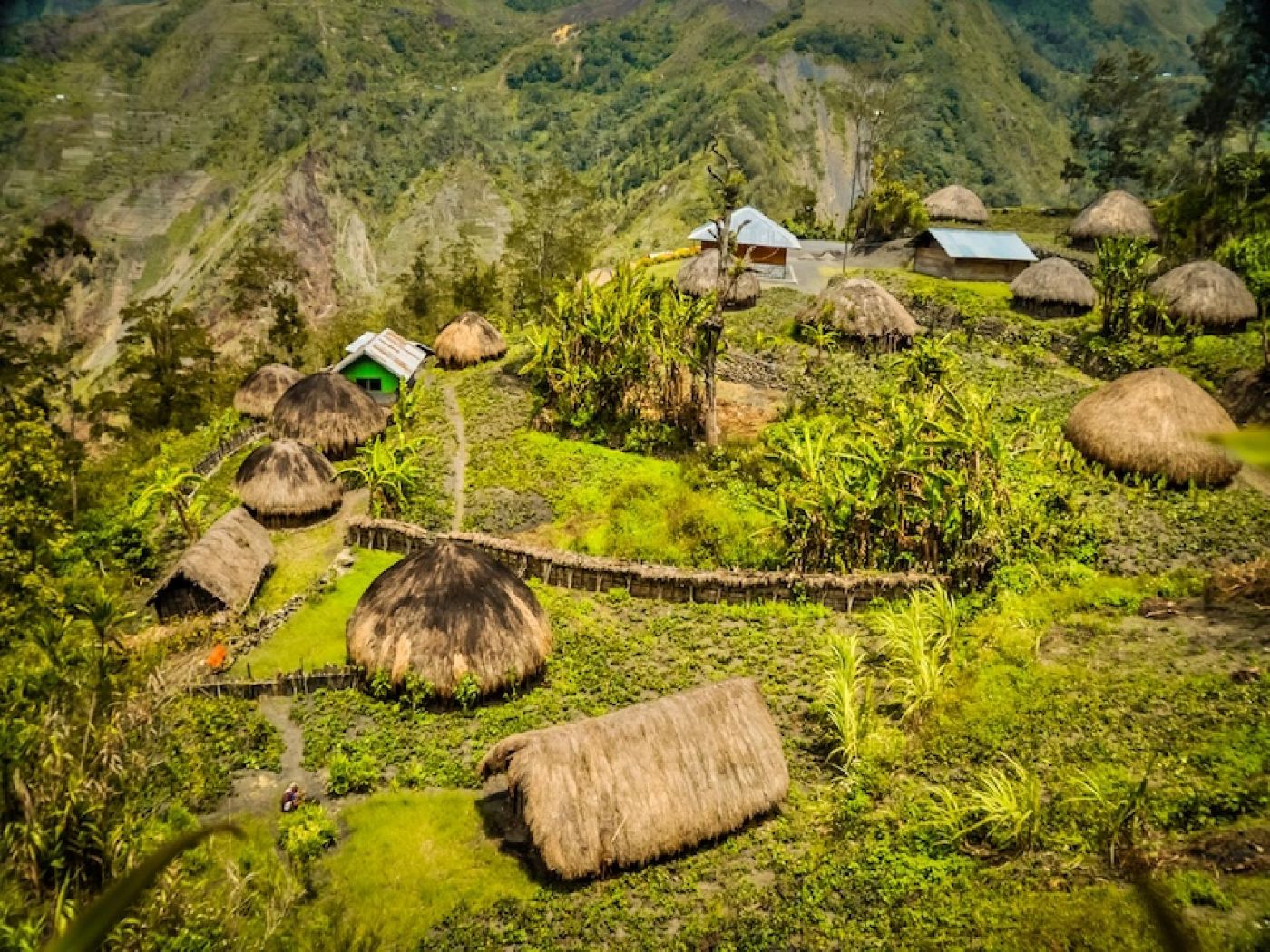 Papua (Etnias Dani)