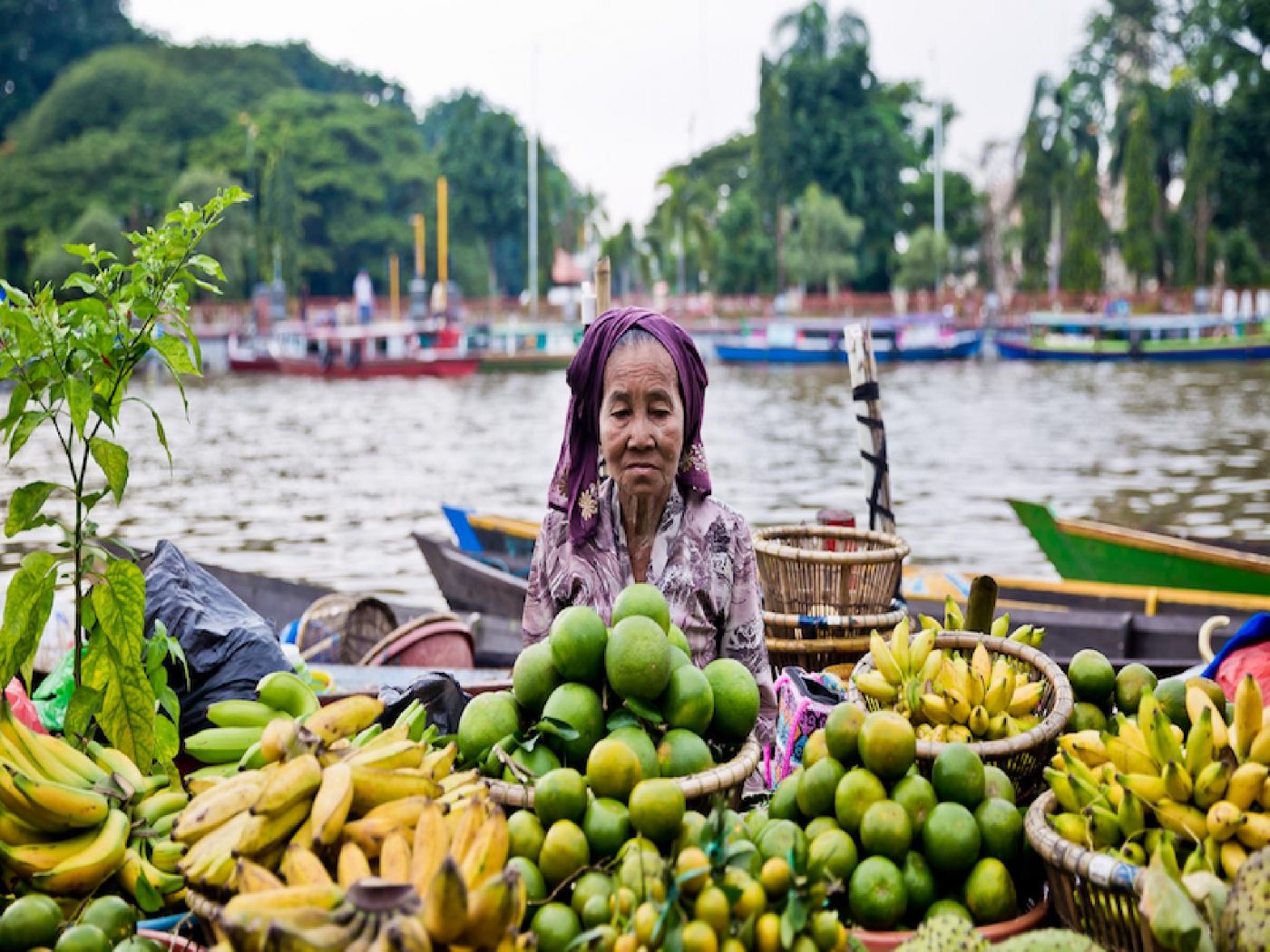 Borneo (Kalimantan)