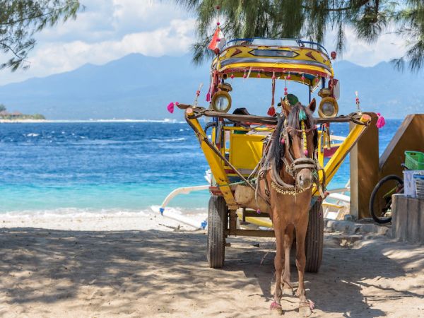 BALI - ISLA GILI MENO