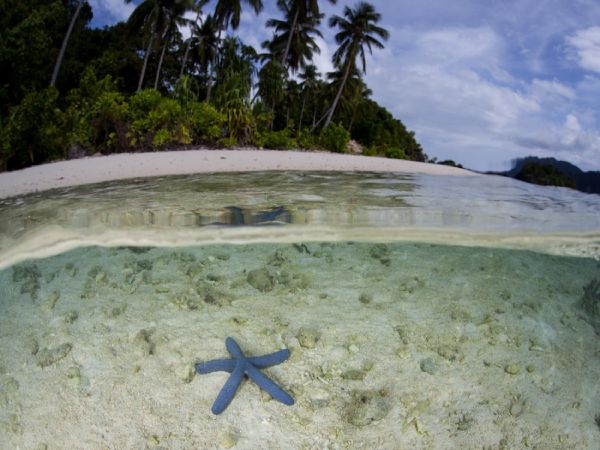 PLAYAS EN RAJA AMPAT