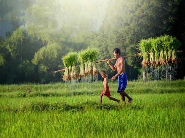 UBUD