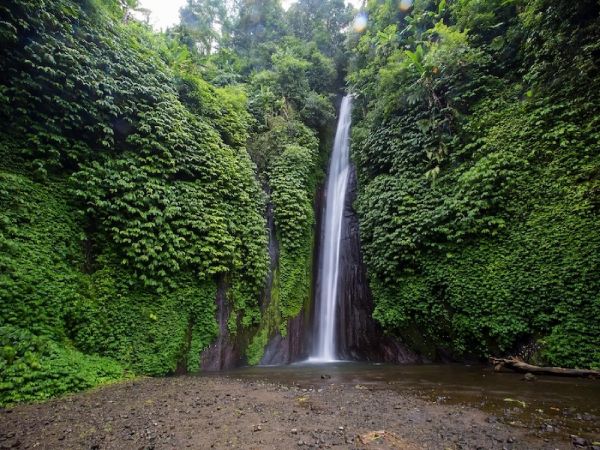 MUNDUK - PARQUE NACIONAL DE BALI BARAT