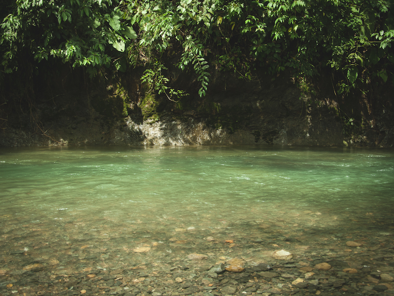 Bukit Lawang
