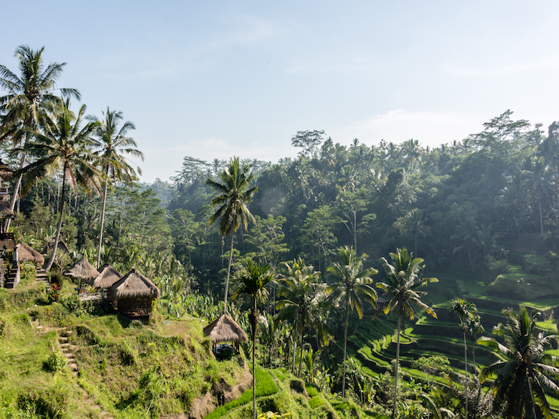 Arrozales Tegalalang