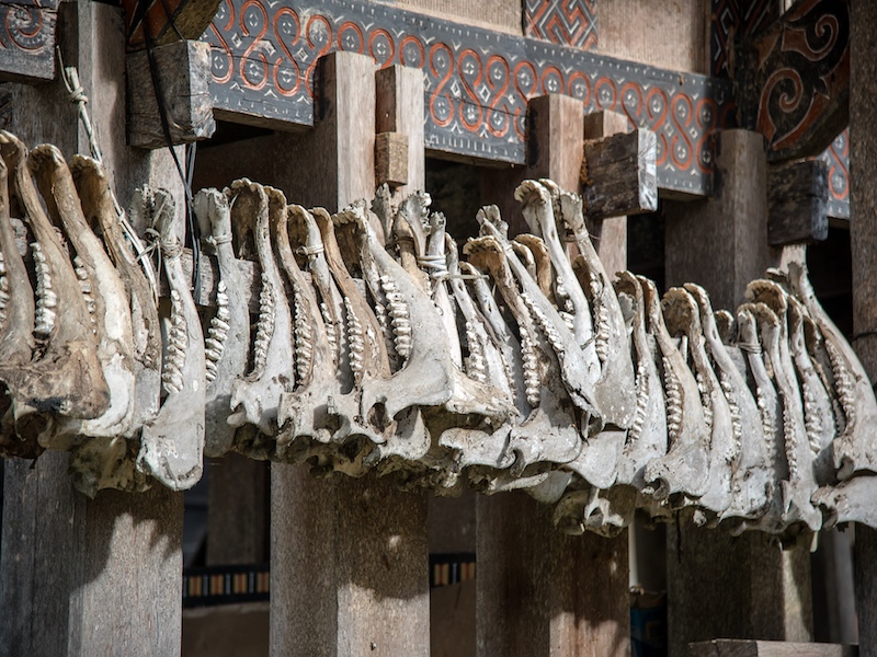 Tana Toraja - Viajes Indonesia en tus manos