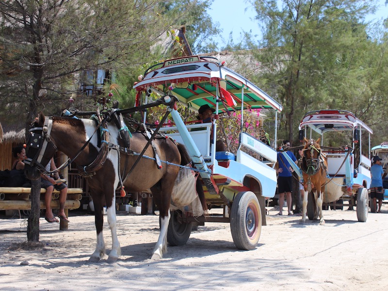 transporte-caballo-Islas-Gili