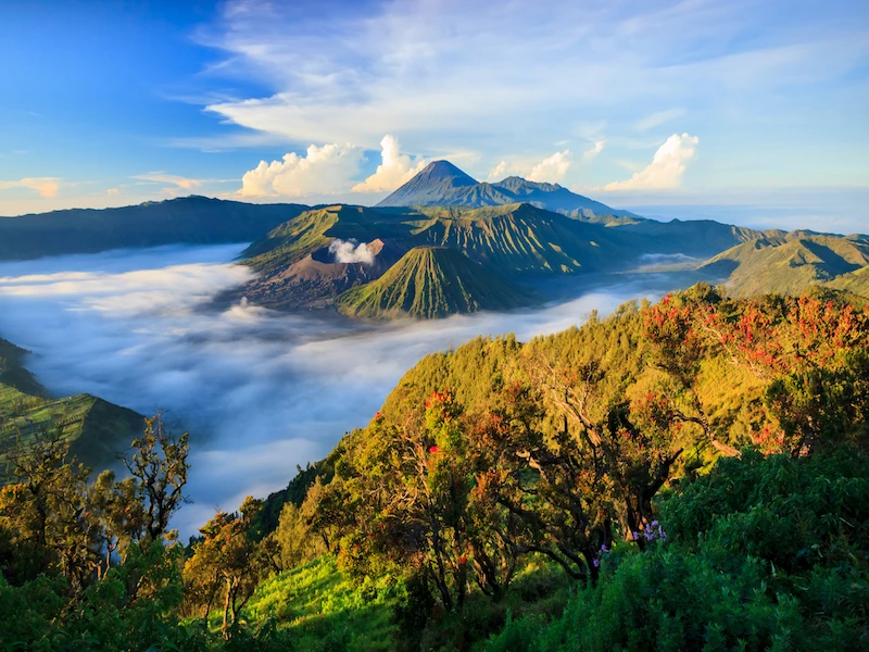 Monte Bromo (Java)