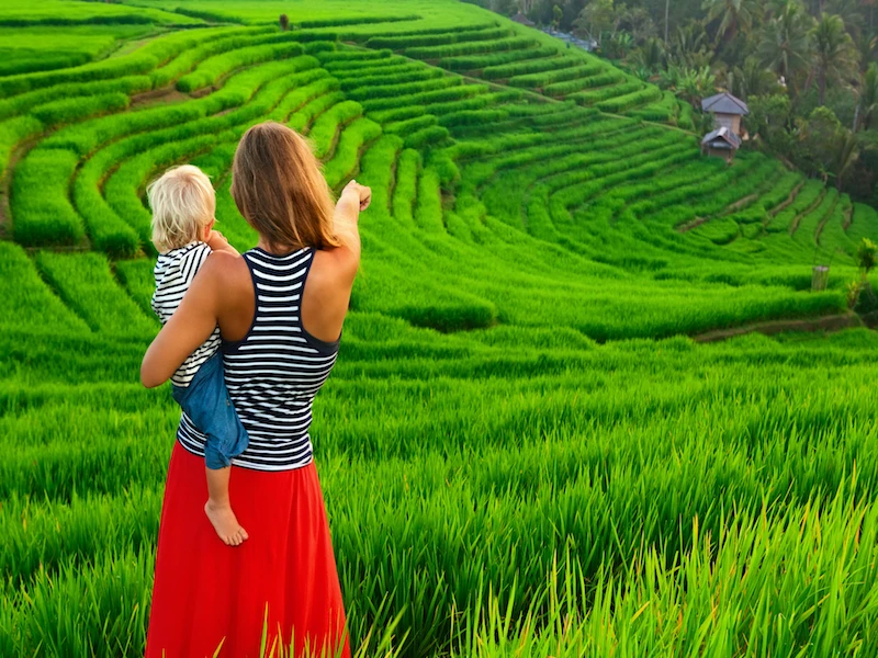 Qué hacer en Ubud en un día