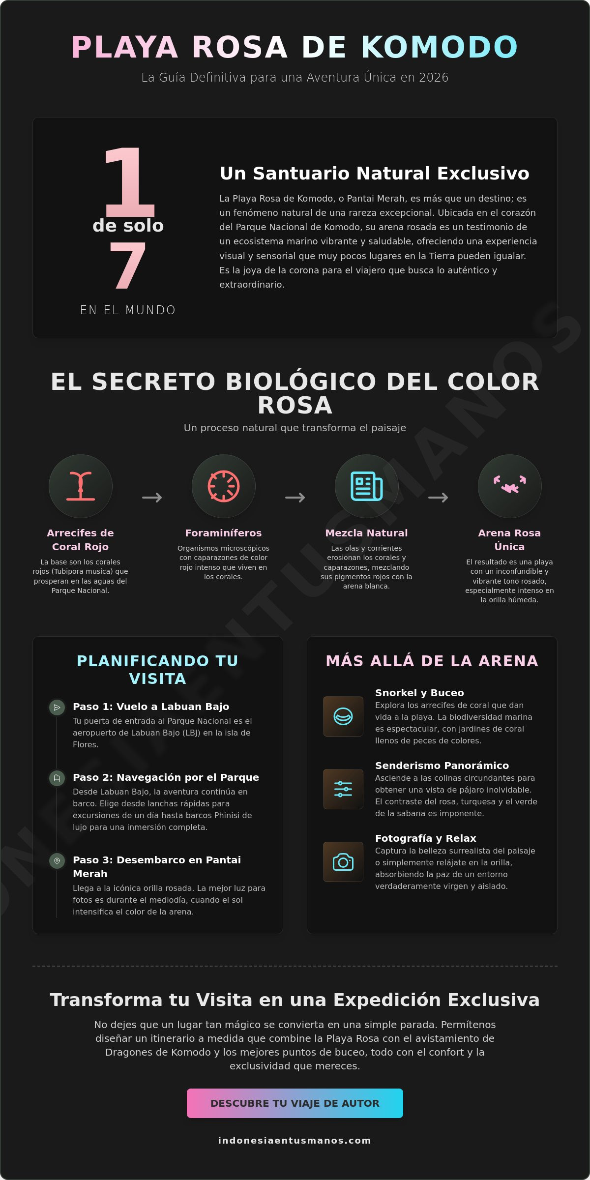 La Playa Rosa de Komodo: Guía Completa de este Paraíso en 2026