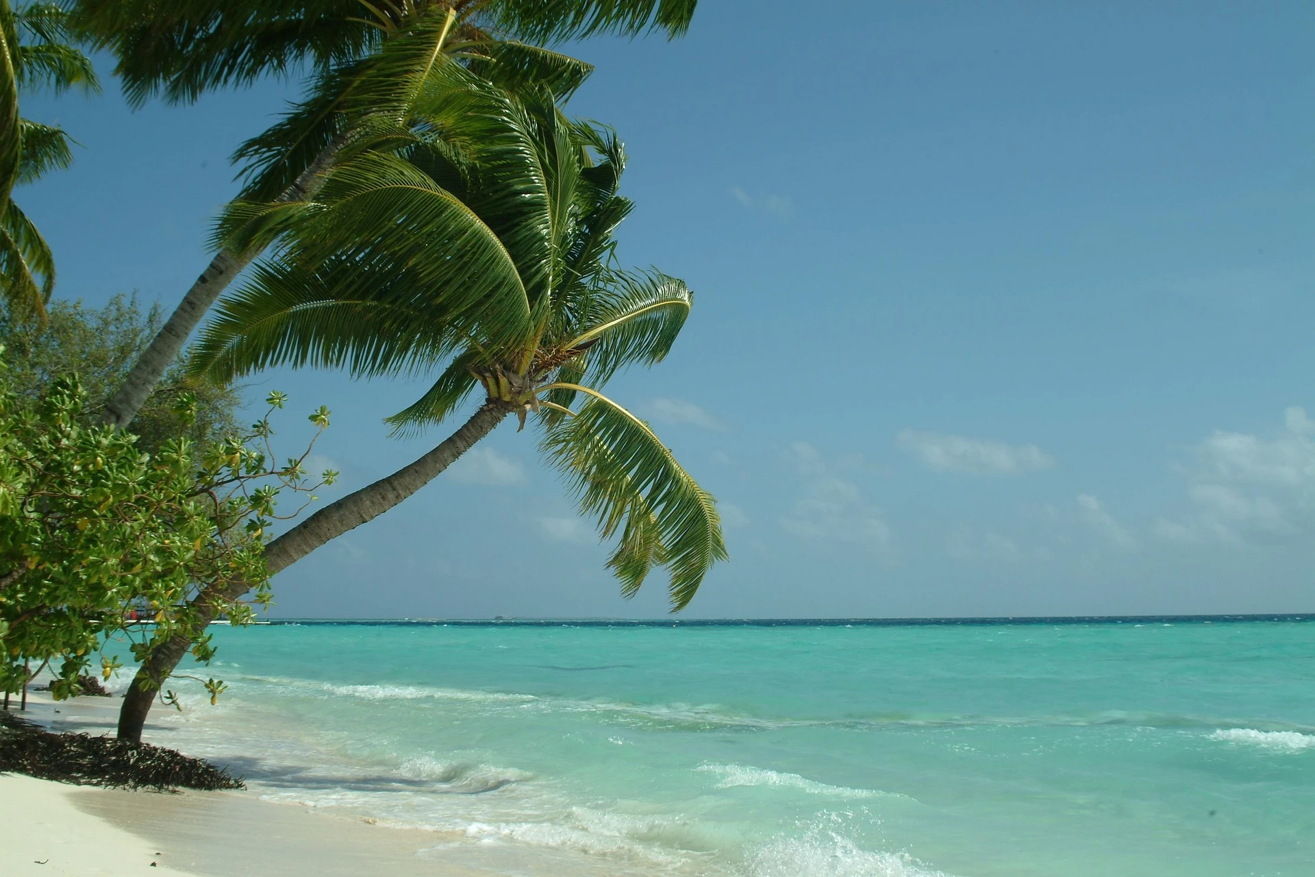 Viajes a Atolones del Sur