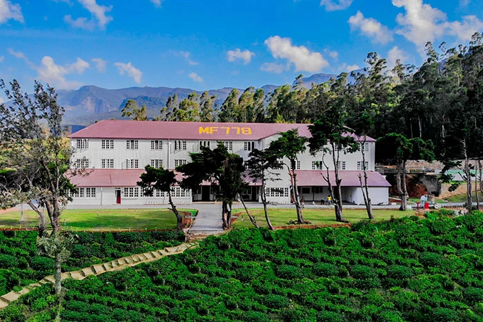 Tea & Experience Factory