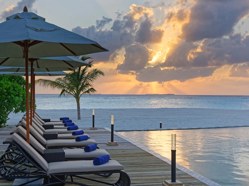 Brennia Kottefaru - imagen 7