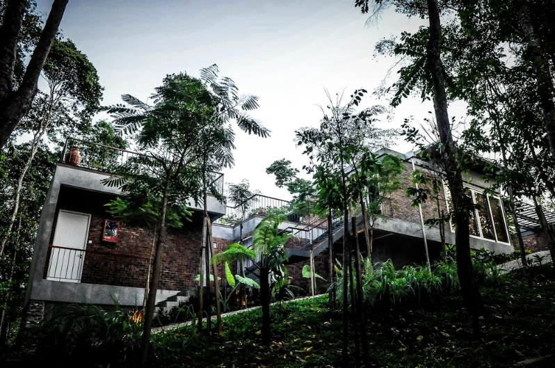 Belum Rainforest Resort