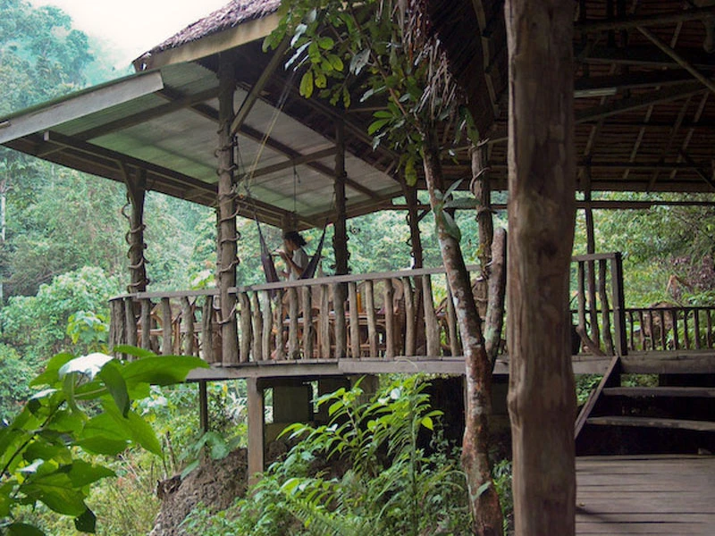 Jungle Inn Tangkahan