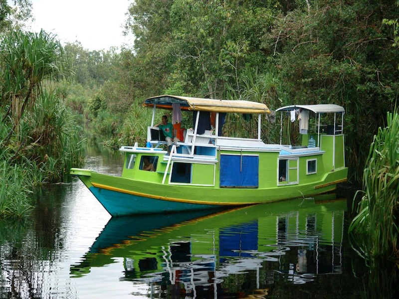 Klotok privado Borneo