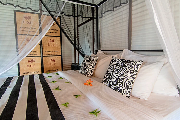 Tea & Experience Factory - imagen 2