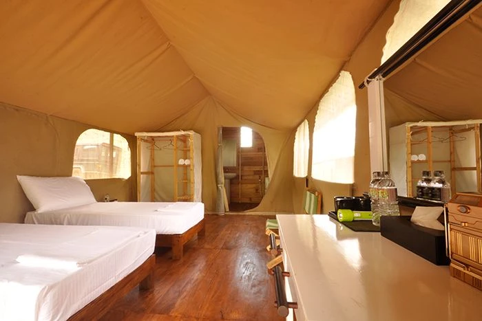 Wild Glamping - imagen 2