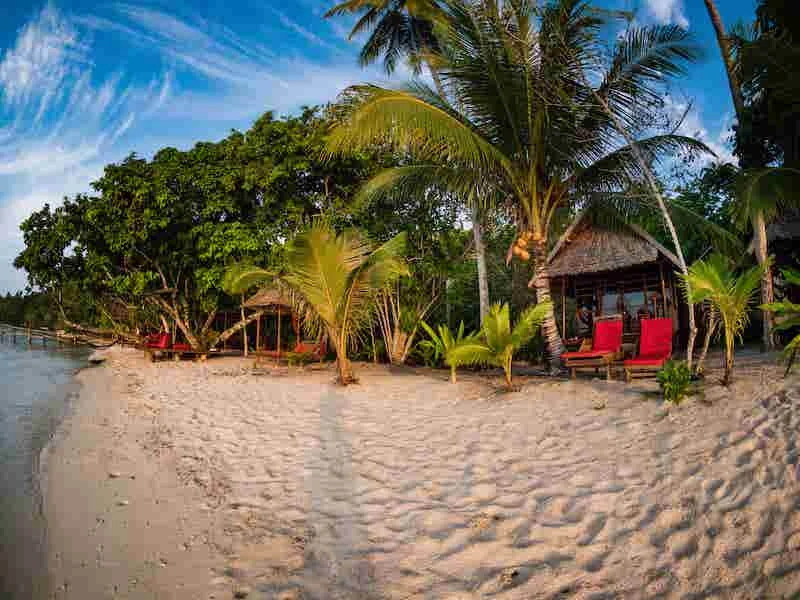Raja Ampat Biodiversity Eco Resort - imagen 10