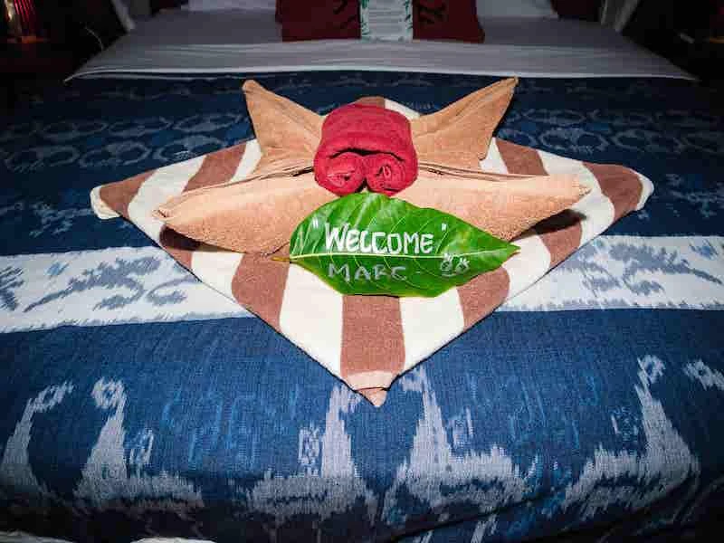 Raja Ampat Biodiversity Eco Resort - imagen 13