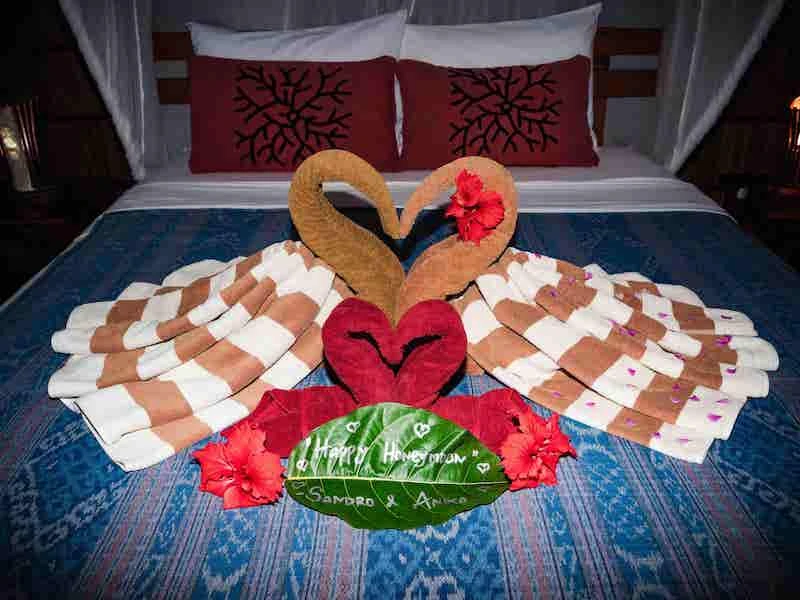 Raja Ampat Biodiversity Eco Resort - imagen 18