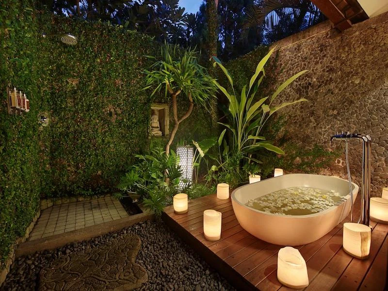 Damai Lovina - imagen 6