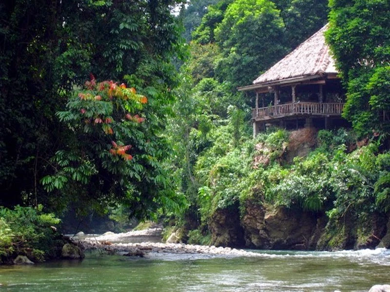 Jungle Inn Tangkahan