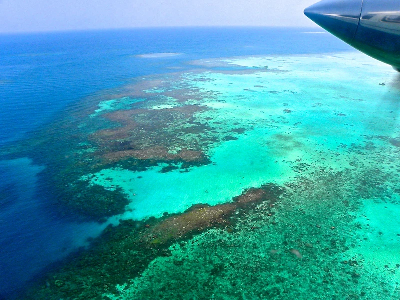 Kura Kura Resort - imagen 11