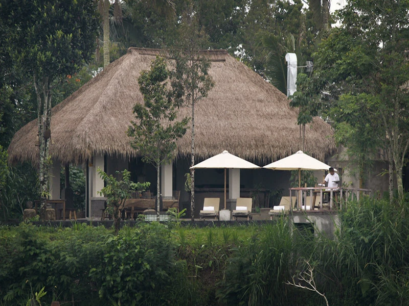 Puri Sebatu Resort - imagen 9